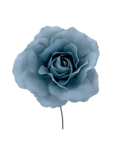 Rosa aperta artificiale – celeste – diametro 8 cm