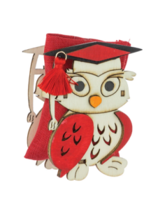 Scatolina in legno gufo Laurea con sacchetto 4