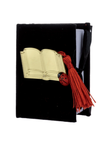 Scatola libro in velluto 5