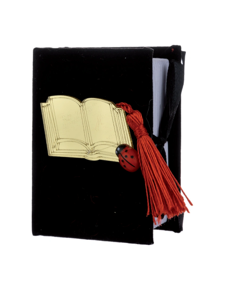 Scatola libro in velluto 5