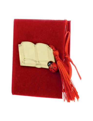Scatola libro in velluto 5