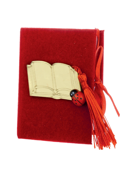 Scatola libro in velluto 5