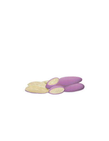 Confetti Maxtris Avola Nuance Malva 1 kg - dettaglio prodotto