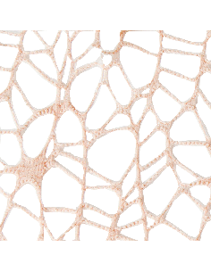 Foglio Rete XL Spider Polycotton 25x25 cm - Salmone | G3S Ingrosso