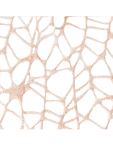 Foglio Rete XL Spider Polycotton 25x25 cm - Salmone | G3S Ingrosso