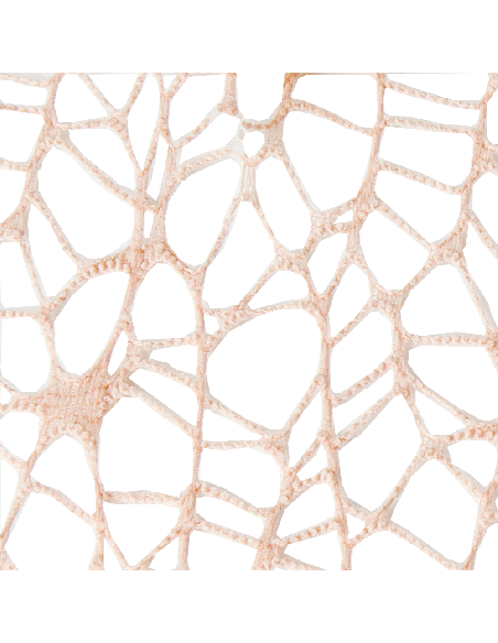 Foglio Rete XL Spider Polycotton 25x25 cm - Salmone | G3S Ingrosso