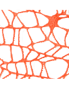 Foglio Rete XL Spider Polycotton 25x25 cm - Arancio | G3S Ingrosso