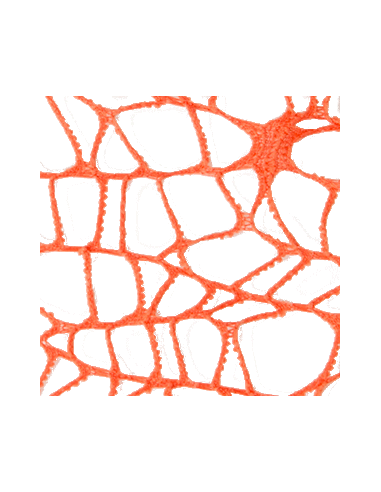 Foglio Rete XL Spider Polycotton 25x25 cm - Arancio | G3S Ingrosso