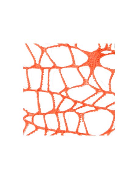 Foglio Rete XL Spider Polycotton 25x25 cm - Arancio | G3S Ingrosso