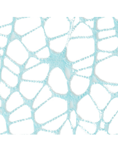 Foglio Rete XL Spider Polycotton 25x25 cm - Cielo | G3S Ingrosso