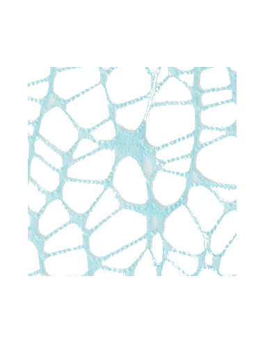 Foglio Rete XL Spider Polycotton 25x25 cm - Cielo | G3S Ingrosso