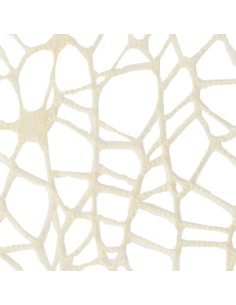 Foglio Rete XL Spider Polycotton 25x25 cm - Crema | G3S Ingrosso