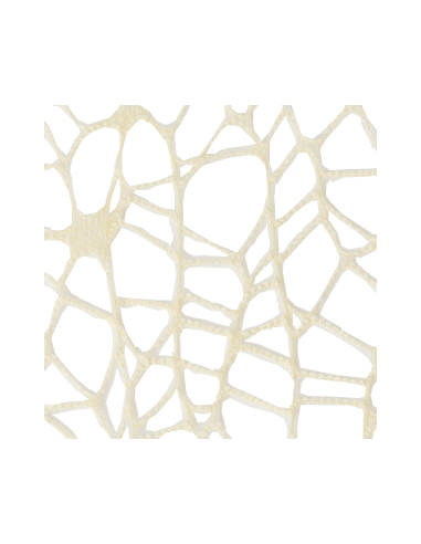 Foglio Rete XL Spider Polycotton 25x25 cm - Crema | G3S Ingrosso