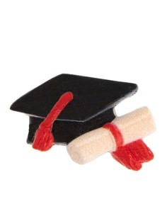 Applicazione in gesso Tocco Laurea 08A195 | G3S