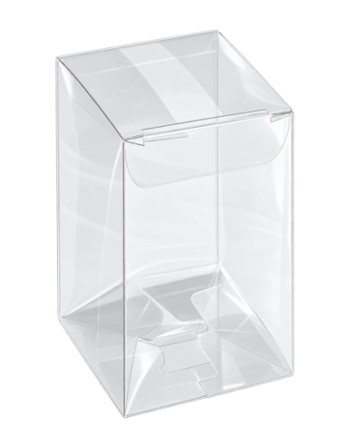Scatola in PET trasparente 3x2x5