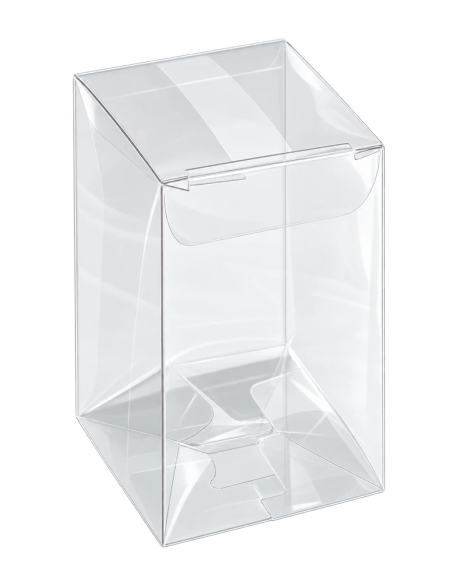 Scatola in PET trasparente 3x2x5