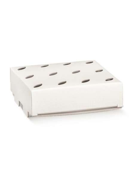 Inserto 17x17x5cm per Vaso FIBRA Bianco Florentina Scotton