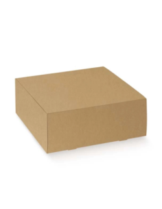 Pratica 25x25x10cm AVANA Florentina Scotton