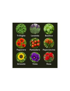 Matita piantabile Sbloom con semi a sorpresa | G3S Ingrosso 2