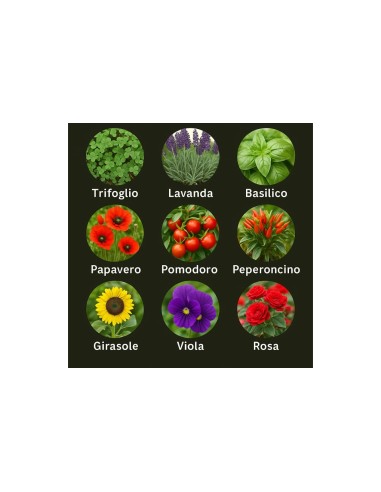 Matita piantabile Sbloom con semi a sorpresa | G3S Ingrosso