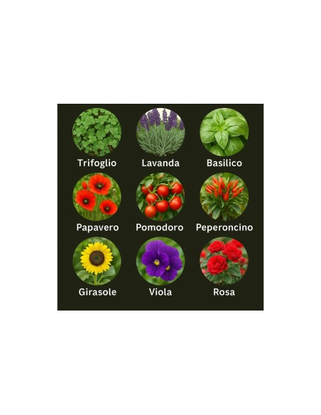 Matita piantabile Sbloom con semi a sorpresa | G3S Ingrosso