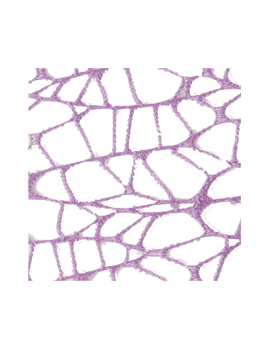 Foglio Rete XL Spider Polycotton 25x25 cm - Lilla | G3S Ingrosso