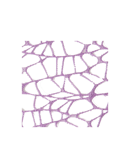 Foglio Rete XL Spider Polycotton 25x25 cm - Lilla | G3S Ingrosso