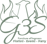 g3s.it